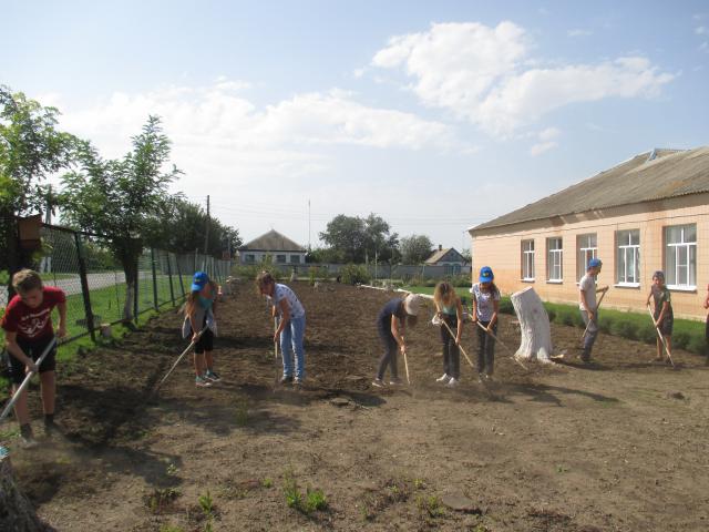 foto3
