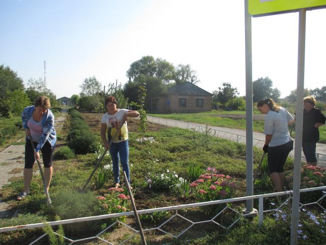 foto4