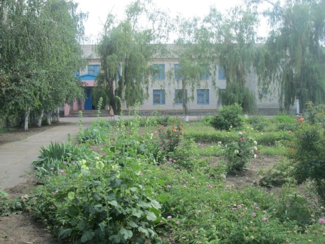IMG 0362