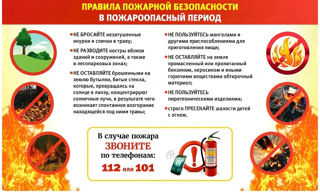 trava202125 1