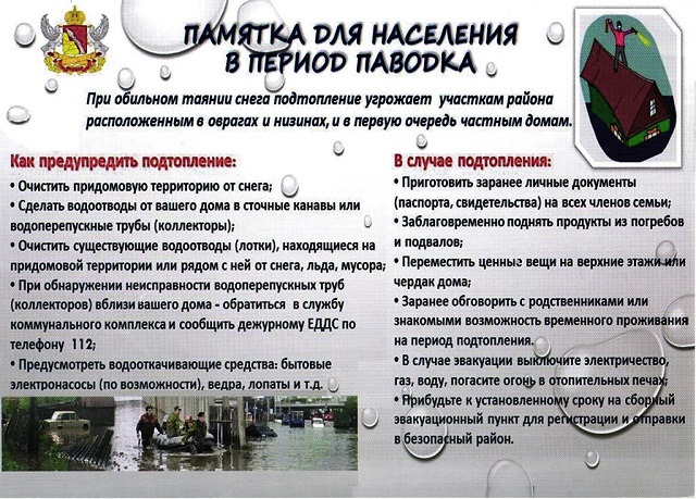 pamyta20220203 1