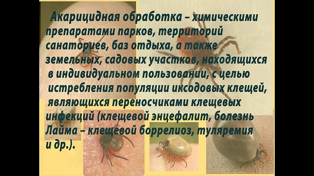 nasek20220704