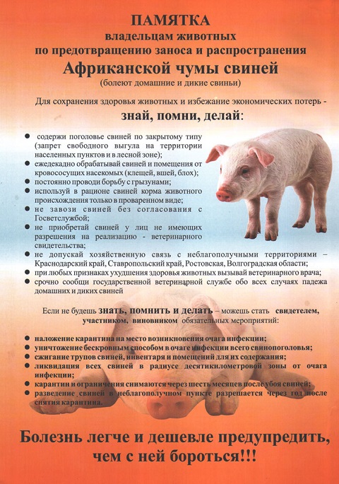 pamyatka ACHS 1