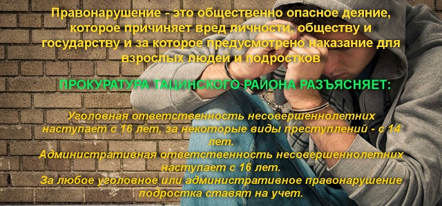 ygolov20221102 2