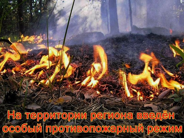 pamyatka osobii protivopogarnii regim 05 2019