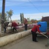 День древонасаждения