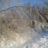 img_0166