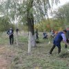 Осенний день древонасаждения