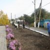 Осенний день древонасаждения