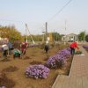 Осенний день древонасаждения